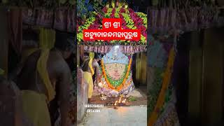 ଶ୍ରୀ ଶ୍ରୀ ଅଚ୍ୟୁତାନନ୍ଦ ମହାପୁରୁଷ ଙ୍କ  ସନ୍ଧ୍ୟା ଆଳତି ଦର୍ଶନ। #ମାଳିକା #nemala #shorts #achyutanandamalika