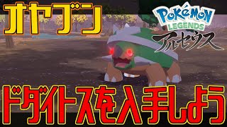 【ポケモンアルセウス】オヤブンのドダイトスを入手しよう【Pokémon LEGENDS アルセウス】