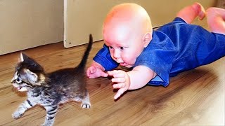🔴[LIVE] BABY AND PETS - 30 minutes Funniest Babies Playing with Cats Videos 🐱🐱🐱 || Cool Peachy