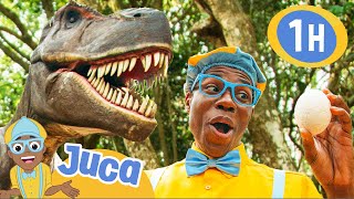 Juca e a Caça aos Ovos de Dinossauro! | 1 HORA DE JUCA! | Blippi em Português | Dinos para Crianças