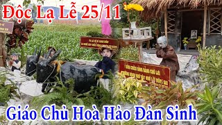 Độc Lạ Lễ Hội 25/11 Ngày Đức Huỳnh Giáo Chủ Đản Sinh | Đỗ Hoài Thương