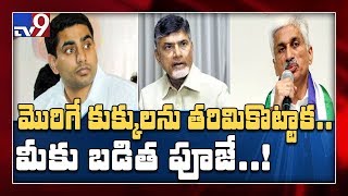 టీడీపీ నేతలను కుక్కలతో పోల్చిన విజయసాయి రెడ్డి - TV9