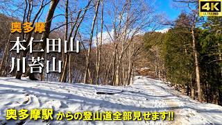 【登山体験】本仁田山⇒川苔山、駅からハイクで奥多摩三大急登に挑む！！／奥多摩駅から本仁田山経由のの登山道全部見せます！／2025/02