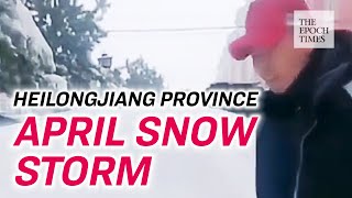 Waist High Snow Hits Northeastern China | CCP Virus | COVID-19 | Coronavirus | Epoch News