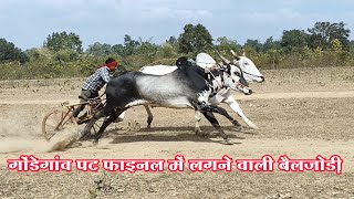 गोंडेगांव पट फाइनल में लगने वाली बैलजोड़ी के नाम / pat pratiyogita gondegaon final ki bailjodi