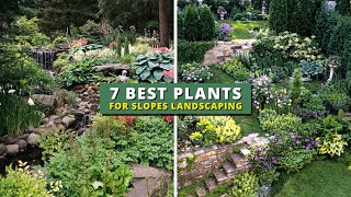 7 Best Plants for Slope Landscaping Areas 👌👍