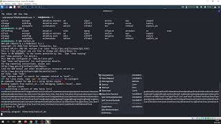 TryHackMe #579 ret2libc