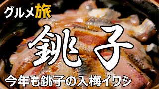 銚子グルメ ひとり旅 今年も銚子の入梅イワシ🐟