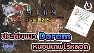 ประดับแมว Doram หนอนเทพไร้หลอด | Ragnarok