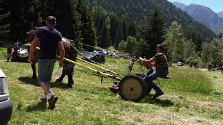 TRANSHUMANCE DE LAVALDENS  2018  4K