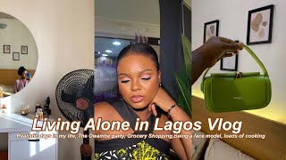 Living alone Diaries| Realistic days in my life,Grocery run, Owambe Party| Life