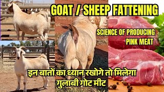 Goat \u0026 Sheep Fattening Nutrition for Pink Meat मीट के लिए बकरों और भेड़ का पोषण Ali Veterinary Wisdom