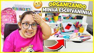 Organizando minha ESCRIVANINHA DE MATERIAL ESCOLAR * Mostrei TUDO!!!