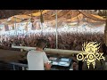 DJ Botond @ O.Z.O.R.A. Festival 2023 Pumpui Stage