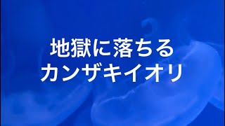 地獄に落ちる カンザキイオリ カラオケで歌いました