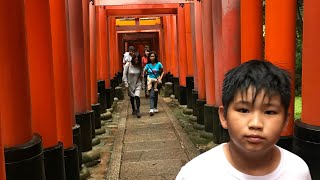 Fushimi Inari Taisha Senbon Torii in japan-Thousands Torii Gate