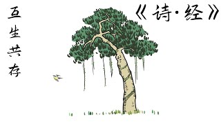 《诗经》005 周南·樛木｜与他人共赢的秘诀 | “南有樛木，葛藟荒之”