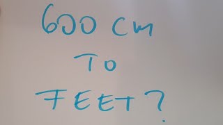 600 cm to feet?