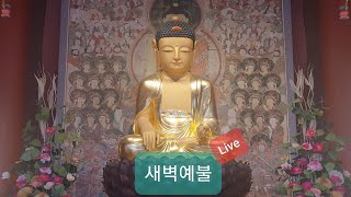 [달마사 새벽예불] 5월 13일 예불 \u0026 백팔배