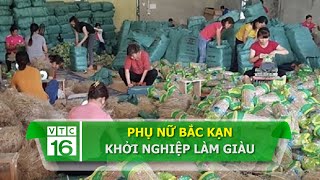 Phụ nữ Bắc Kạn khởi nghiệp làm giàu | VTC16