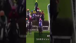 障害レース飛越時に落馬事故発生 騎手は...