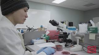 Medical Laboratory Technician (MLT) Virtual Tour