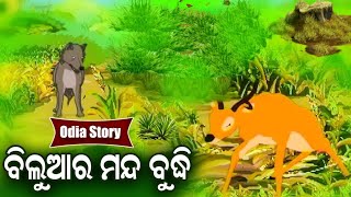 Biluara Manda Budhi ବିଲୁଆର ମନ୍ଦ ବୁଦ୍ଧି Odia Fairy Tale | Part- 1 | Odia Moral Story | odia cartoon