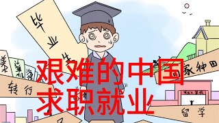 中国高失业率下，几名学非所用的大学毕业生的故事。经济发展不景气之际，求职就业找工作难。青年毕业生所学专业与现实工作岗位不匹配。现实求职工作与家人朋友期待的差距，与内心真实想法的落差。|青年失业率|求职