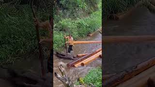 Water flow transportation of wood