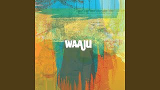 Waaju