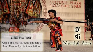 Martial Arts 武術 -  Gee Yung 致勇國際武術龍獅團 Hawaii Chinatown Festival New Year Celebration [4K]