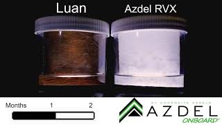 Azdel Lauan 2-Month Mold Time-Lapse