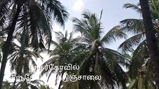 Low Price Coconut farm for Sale | Nagercoil | Vellamadam | Kanyakumari | 1.25 Acre | 9894708317