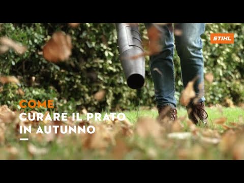 Come Prendersi Cura Del Giardino In Autunno - YouTube