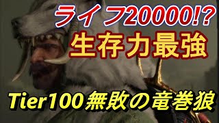 【Diablo4】ライフ20000超え！？最強の生存力！～tier100で無敗の狼ドルイド～【ディアブロ】