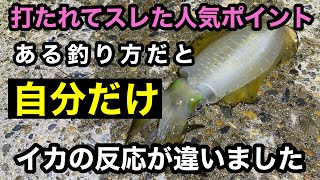 【エギング】スレて釣れなくなったらこの釣り方を試してみて下さい。反応なくスレたイカも不思議と釣れるようになります！#瀬戸内海　#エギング　#秋イカ　#釣り