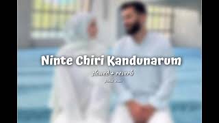 Ninte chiri Kandunarum ( slowed + reverb )