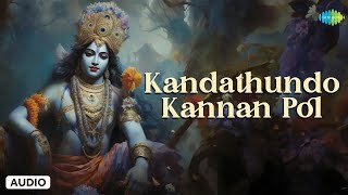 Kandathundo Kannan Pol | Lord Krishnan Songs Tamil | Vani Jairam | Saregama South Devotional