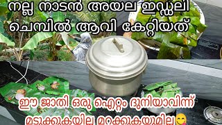 ഇഡ്ഡലി ചെമ്പിൽ അയില മീൻ കൊണ്ട് ഇങ്ങനെ ഒരു സംഗതി പടച്ചോനേ 😋#fish#pollichathu