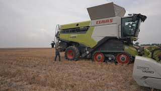 Pokaz żniwny w jęczmieniu ozimym CLAAS TRION, LEXION 8800 TERRA TRAC + Mzuri Pro-Til 4T