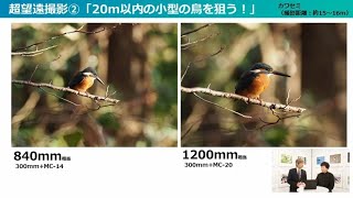 《OM SYSTEM PLAZA オンライン》野鳥の撮影でどれぐらいの焦点距離が必要？