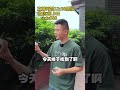 小萬拿下“冰冰同款”白月光翡翠手鐲，月光之美盡在腕間（2） 翡翠 翡翠手鐲 翡翠手镯 翡翠直播