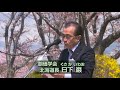 【トピックス】満開の桜 北海道・厚田 戸田記念墓地公園 創価学会公式