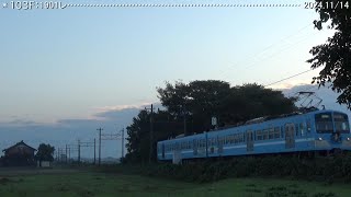 近江鉄道日記　301Ｆ蛇溝＆103Ｆ糠塚　（2024.11/13･14）　　巛巛