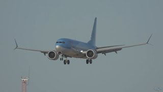 5 BEAUTIFUL LANDINGS IN A Windy Afternoon at Faro Airport