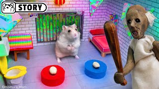 🐹 Hamster Escapes the Chaos Maze with Granny 🐹 Homura Ham