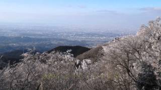 2015.1.24 金剛山・石ブテ西谷