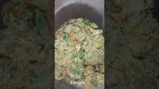 Tangie🇬🇧