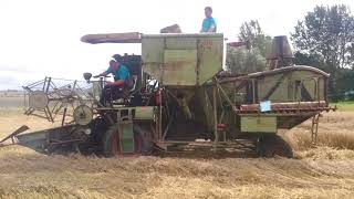 Historische Getreideernte Oldtimertreffen in Dedeleben mit IHC, Claas,Fortschritt E175 \