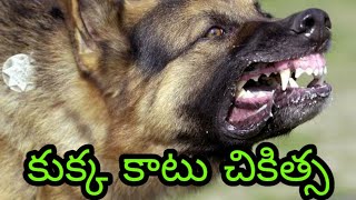 కుక్క కాటు చికిత్స విధానం/ dog bite treatment..